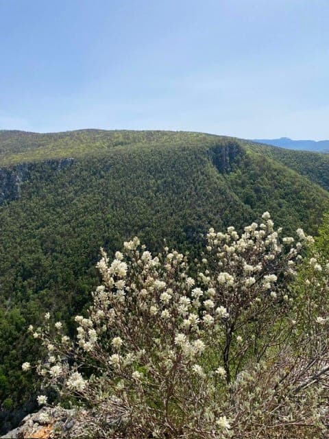 Una Meryland photo 22
